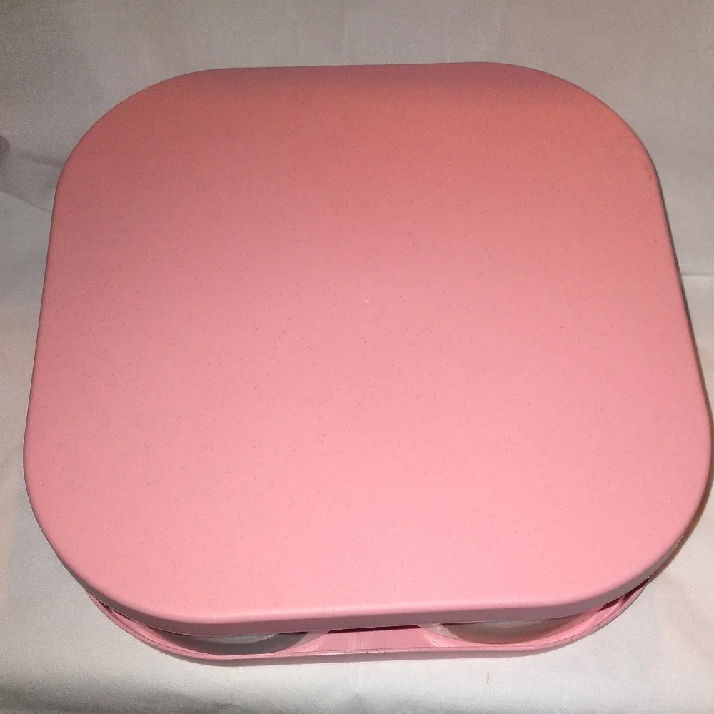 Pink Divided Serving Box